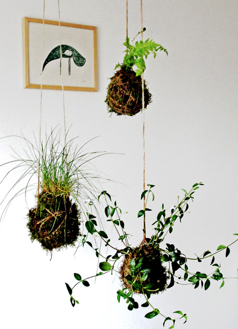 10 DIY String Gardens Kokedama- A Cultivated Nest