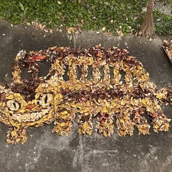 Every Fall This High School Art Teacher in Nara Sweeps Fallen Leaves into Ephemeral Art