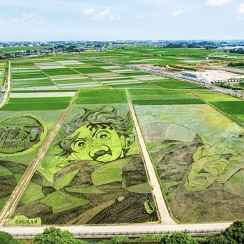 Tanjiro Emerges in the Fields as Gyoda Unveils 2025 Rice Paddy Art
