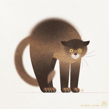 Marie Asaba Captures Expressions in Gentle Illustrations