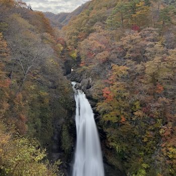 A Spoon & Tamago Guide to Tohoku