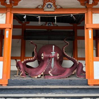Cats to Blame for Octopus Deity Enshrinement Delay