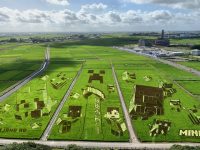 Minecraft Characters Emerge in the Fields for Gaming-Inspired Gyoda Rice Paddy Art