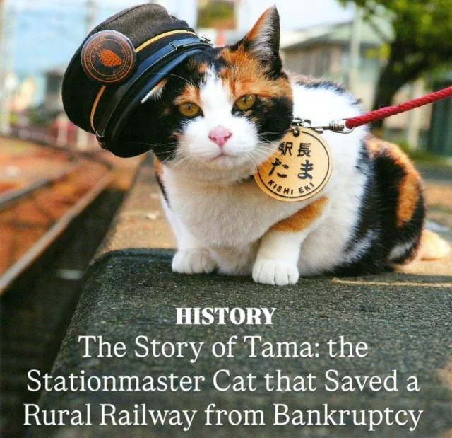 Akio Hirata's Hats Exhibition | Spoon & Tamago