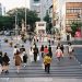 tokyo aoyama dori
